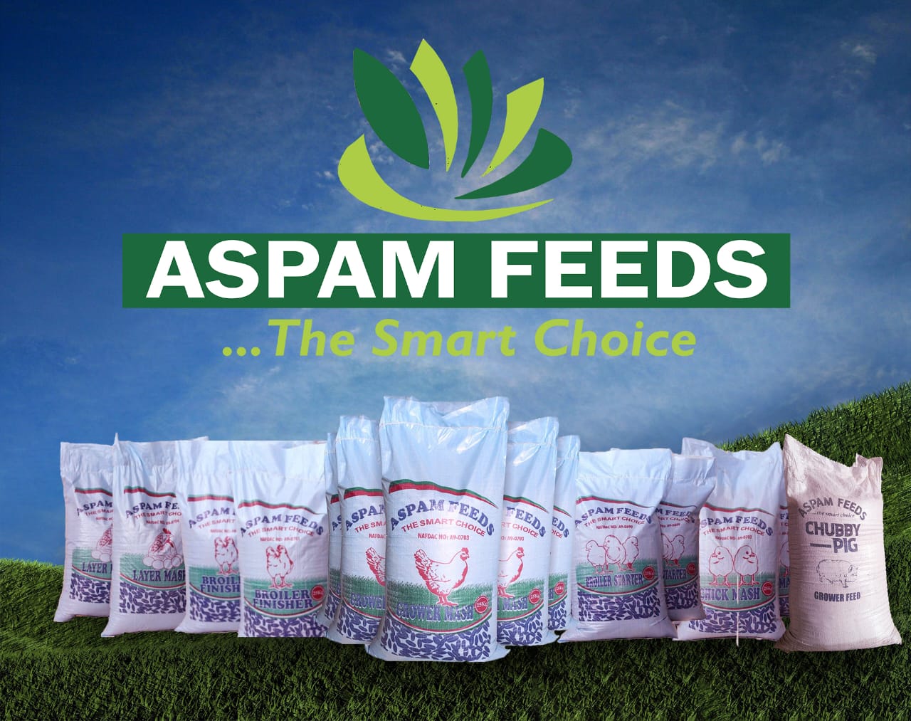 Feeds, Poultry and Meat